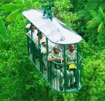 Rain Forest Aerial Tram