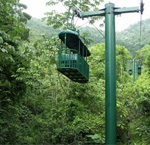 Rain Forest Aerial Tram