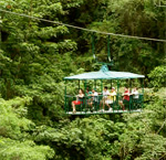 Rain Forest Aerial Tram