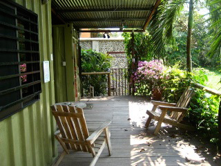 bamboo