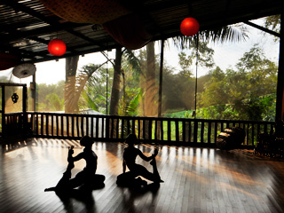 bamboo