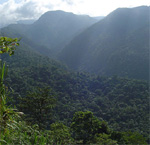 Braulio Carrillo