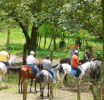 Horseback Tour