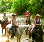 Horseback Tour