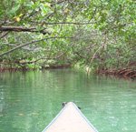 Mangrove Adventures Costa Rica