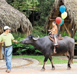 Panaca Costa Rica