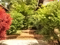 Pathway Outside