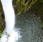 Waterfall Gardens